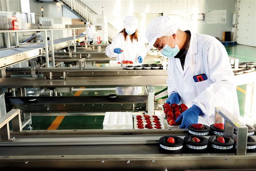 鄂爾多斯 建設農副產品電商服務中心，賦能養生保健服務新生態